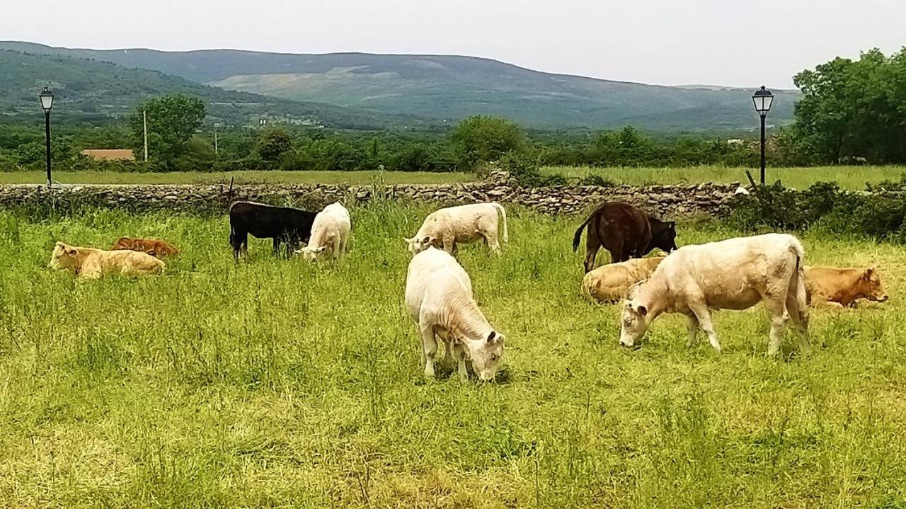 Casa Rural El Remolon Pinuecar Eksteriør bilde