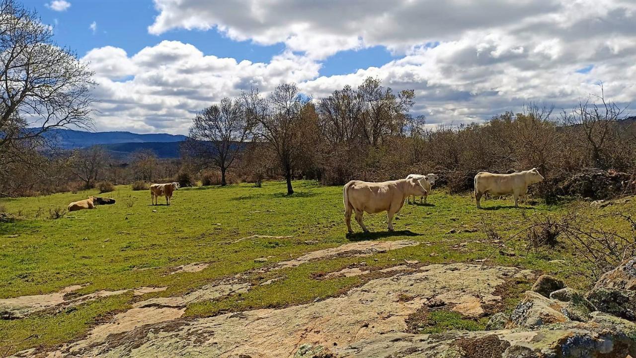 Casa Rural El Remolon Pinuecar Eksteriør bilde