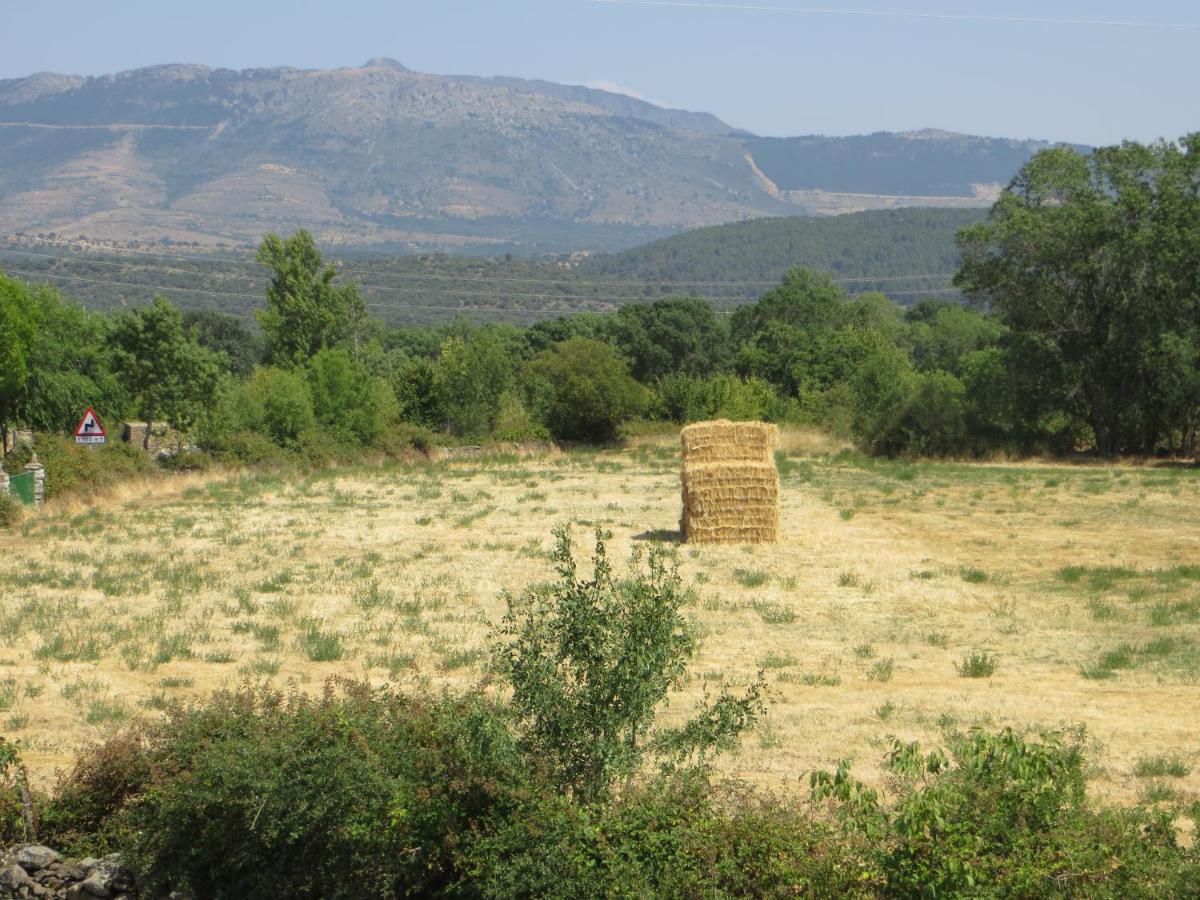 Casa Rural El Remolon Pinuecar Eksteriør bilde